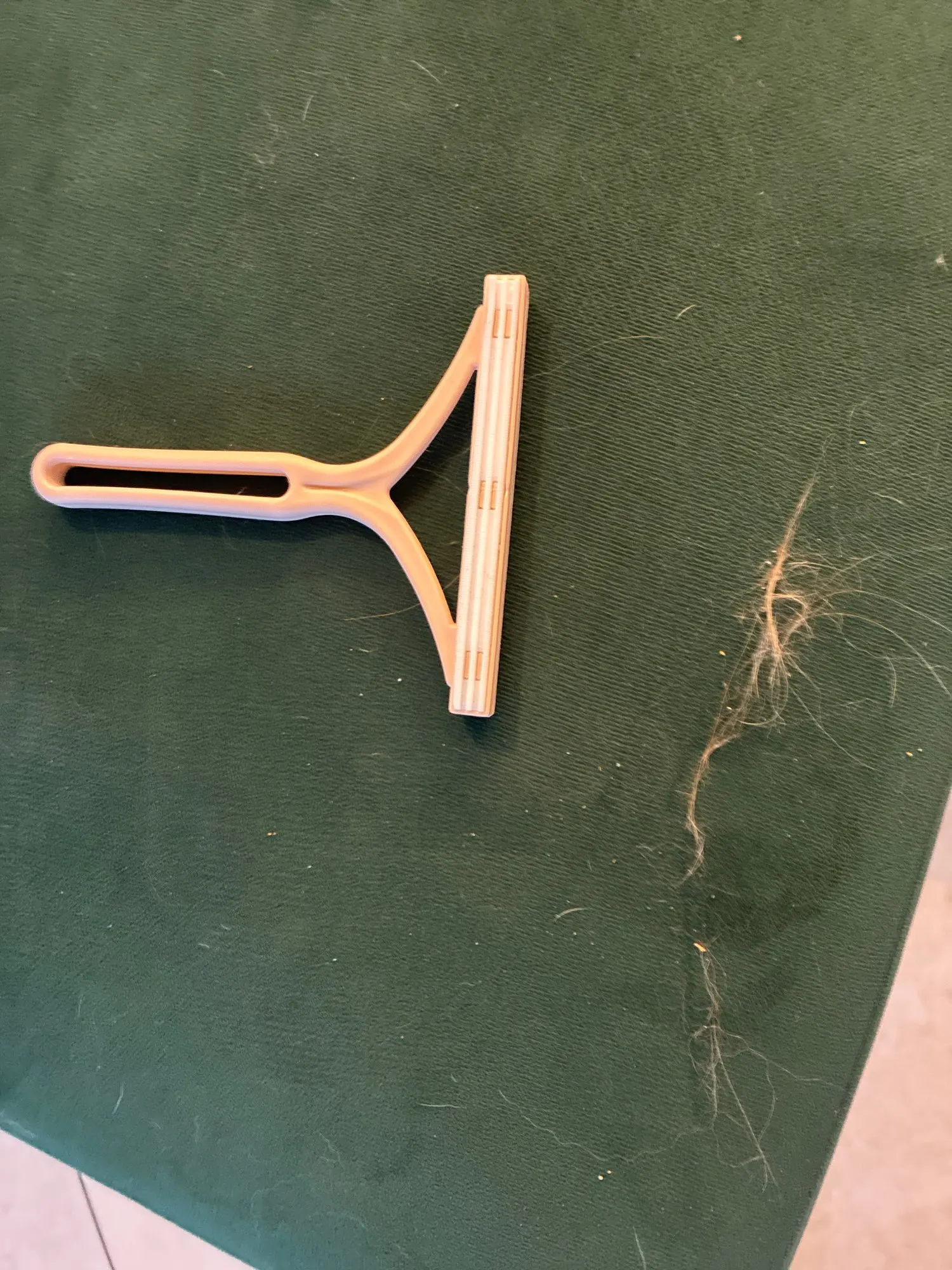 Review by Patricia A.