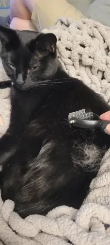 Review by Kateryna S.